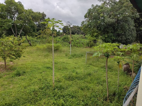 Imagen 16 de 26 de Kn Bienes Raices Vende Finca En El Sector Guayabitos, Tinaquillo Estado Cojedes. Karen Nuñez 0412-7415693