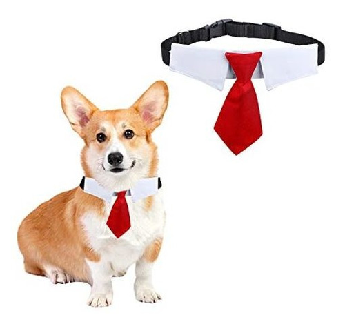 Traje De Perro De Cuello De Perro De Necktie Tie, N36fr