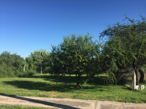 Imagen 4 de 7 de Lote En Venta San Alfonso Del Talar