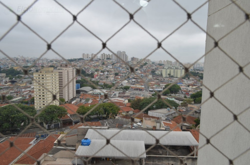 Apartamento Para Venda, 3 Dormitórios, Vila Albertina - São Paulo - 2699