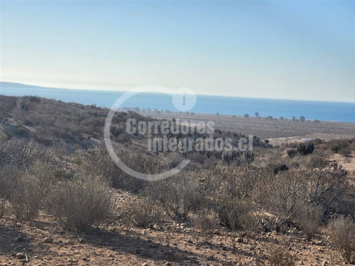 Imagen 6 de 12 de Sitio Coquimbo, Condominio Ecológico Lomas Del Humedal