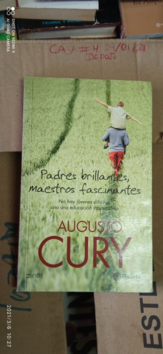 Padres Brillantes Maestros Fascinantes. Augusto Cury