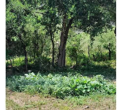 Imagen 18 de 30 de Paraíso Escondido , Campo De 78 Hectareas, En Venta En San Luis, Al Pie De Las Sierras Altas, Valle, Vista Única, Con Río Al Fondo , Bosque Nativo, Realmente Unico,,,para Mudarte Y Cambiar De Vida