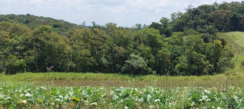 Imagem 17 de 20 de Vendo Terreno Com Otima Topografia / 15o