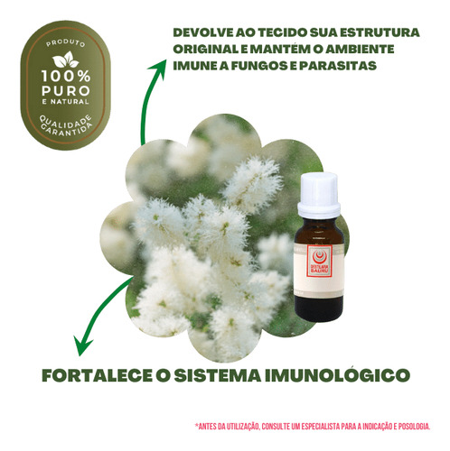 Óleo Essencial Melaleuca (tea Tree) Importado 500 Ml