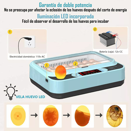 Incubadora Automática De Aves Corral 360 ° Espacio Ajustable