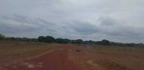 Imagen 3 de 26 de Finca En Venta ,calabozo Guarda Tinajas