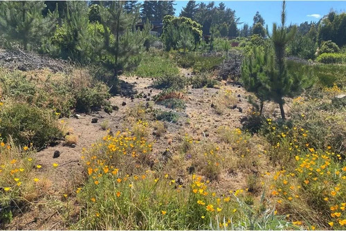 Terreno 1.500m² Alta Plusvalía En Reñaca Los Pinos
