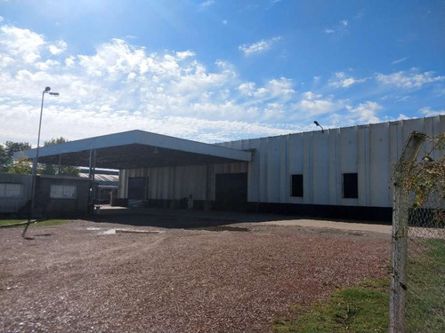 Imagen 4 de 12 de Industria En Alquiler En Burzaco Oeste