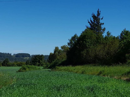 Se Vende Hermoso Campo En La Unión