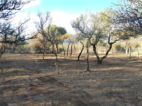 Imagen 7 de 14 de Lote De 1976,64m2 - Bosquecito De Melany