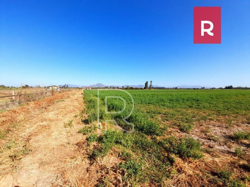 Imagen 2 de 10 de Terreno 5000 M2/ Calle Los Perros/ Talagante