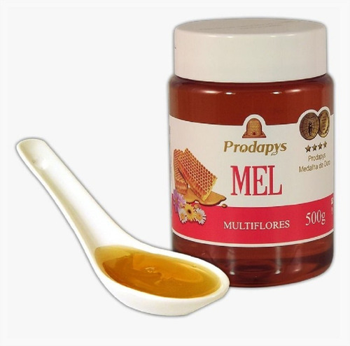 Mel Multiflores/silvestre - Pote 500g - Melhor Do Mundo