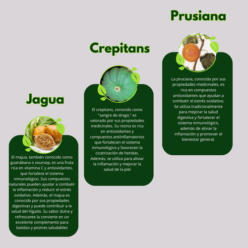 Pastillas Para Fortalecer Sistema Nervioso Y Reducir Fatiga