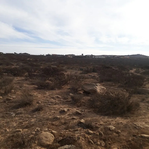 Sector Panul / La Herradura
