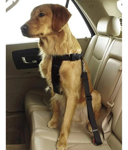 Cinturón De Seguridad Talla M Graduable Para Mascotas 