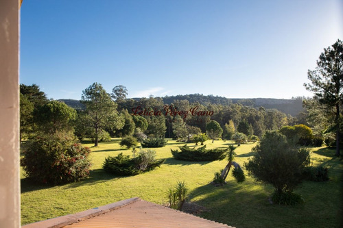 Imagen 19 de 22 de Venta Chacra En San Carlos 2 Has , Abra De Perdomo, Los Ceibos