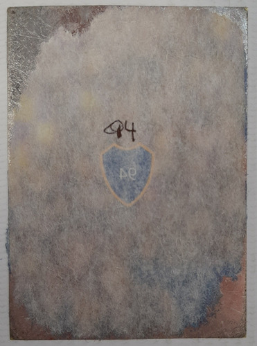 Imagen 4 de 10 de Álbum Boca Xentenario Panini Vacio 190 Figuritas Ro 702