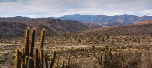 Agrícola En Venta En Los Vilos