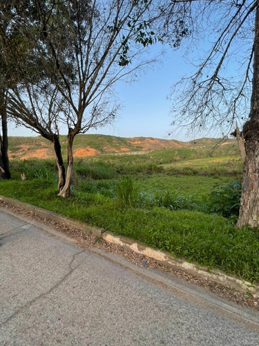 Imagen 4 de 14 de Terreno A La Venta En San Omero