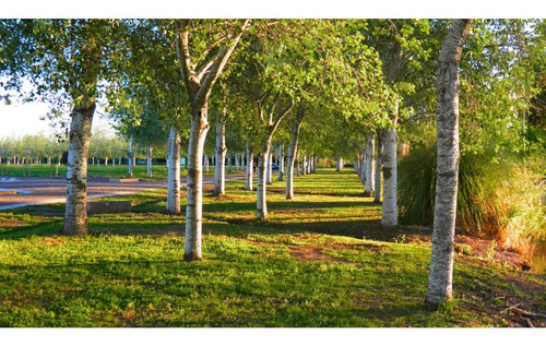 Imagen 4 de 7 de Hermoso Lote En Pinares Del Sur, Barrio Privado