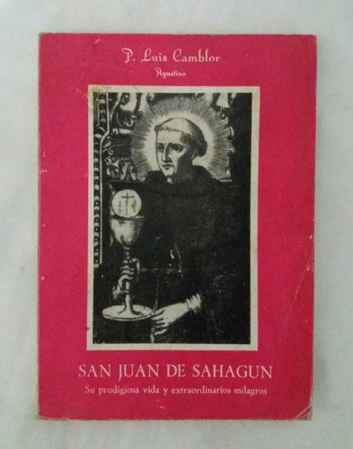 San Juan De Sahagun Luis Camblor Libro Catolico