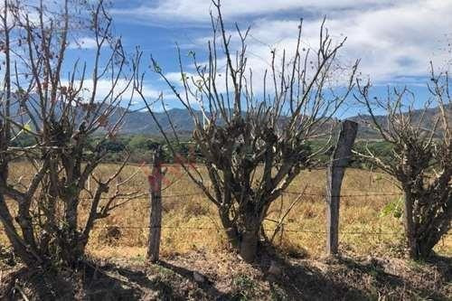 Imagen 6 de 7 de Se Vende Rancho En Villaflores, Chiapas Rancho En Melchor Ocampo, Villaflores