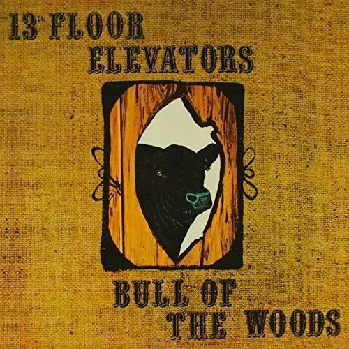13th Floor Elevators - Bull Of The Woods (2cd) Importado