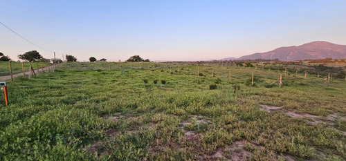 Santa Adela, A 5k De Rotonda De Concón