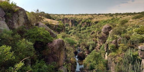 Imagen 5 de 6 de Traspaso Terreno Excelente Ubicación Reservaecologica