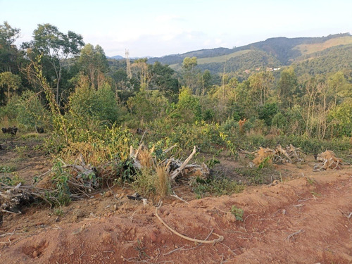 Imagem 5 de 25 de Ll- Vende-se Terreno Com Acesso Para Represa