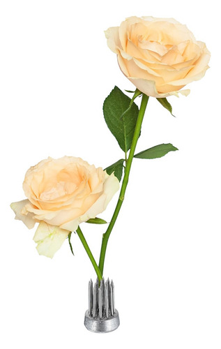 12 Ranas Con Forma De Flor, Ranas Florales Redondas De Acero