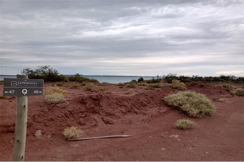 Imagen 19 de 26 de Terreno En Venta En La Península Lago Mari Menuco