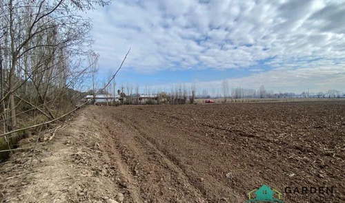 Venta 11 Hectreas, Proyecto San Jose De Toro, Nancagua