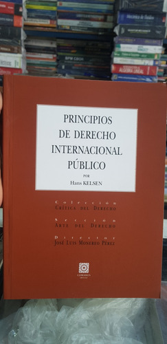 Libro Principios De Derecho Internacional Público 