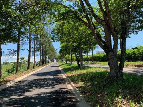 Imagem 3 de 9 de Terreno À Venda, 5000 M² Por R$ 240.000,00 - Recanto Das Águas - Águas De São Pedro/sp - Te2179
