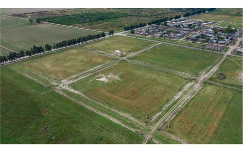 Imagen 9 de 11 de Terrenos En Venta Loteo Vicentin Avellaneda