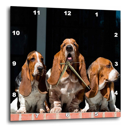 3drose Trio Of Basset Hounds, Mr Wall Clock, 13x13