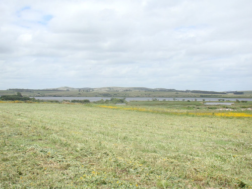 Imagen 3 de 11 de Terreno En Laguna De Los Cisnes, Punta Ballena - Laguna De Los Cisnes