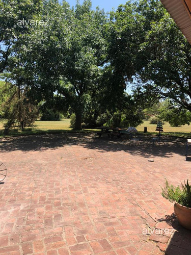 Imagen 6 de 14 de Venta Finca Uruguay