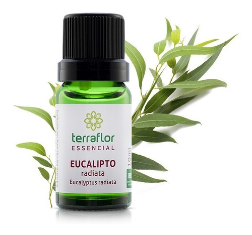 Óleo Essencial De Eucalipto Radiata 10 Ml Terra Flor