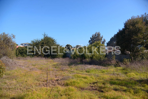Arriendo Terreno Comercial Las Cruces.