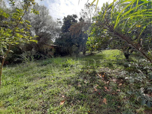 Imagem 12 de 30 de Chácara Com 1 Dormitório À Venda, 2000 M² Por R$ 290.000,00 - Godinho - Piracicaba/sp - Ch0111