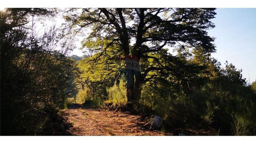 Pucon Parcela En Sector Cerduo - Oportunidad