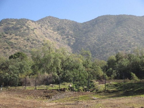 Imagen 3 de 4 de Excelente Terreno En Santa María De Manquehue.