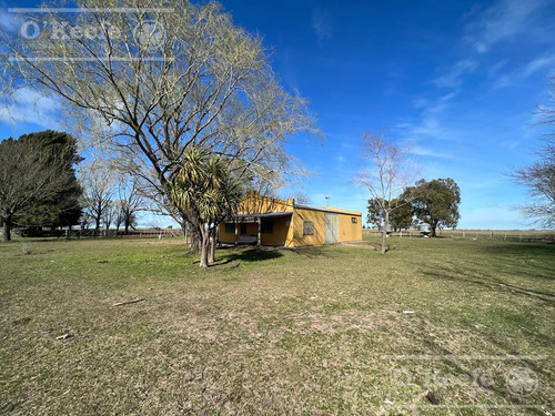 Imagen 15 de 28 de Campo En Venta 133 Has En Magdalena - Mixto.