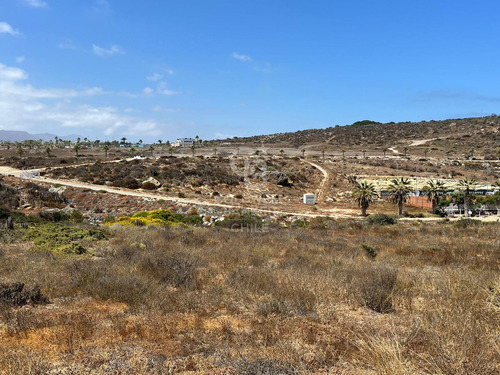 Terreno En Las Tacas Para Desarrollo 6.000m2