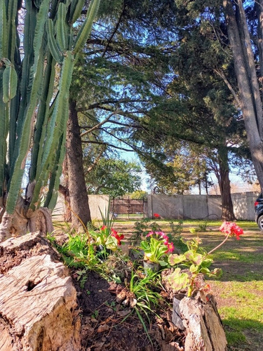 Imagen 12 de 25 de Alquiler Casa Quinta-zona Berazategui