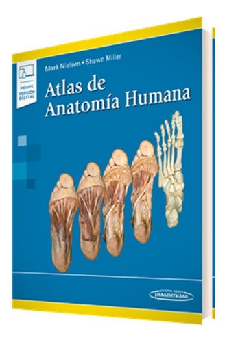 Atlas De Anatoma Humana Mark Nielsenshawn Millereds