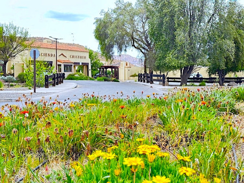 Hacienda Chicureo